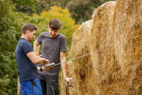 FL2_praksa